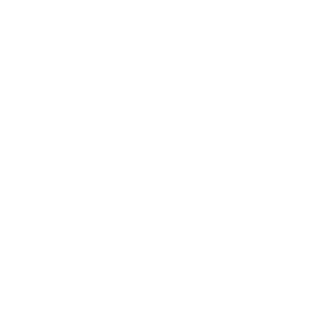 SP Shoes